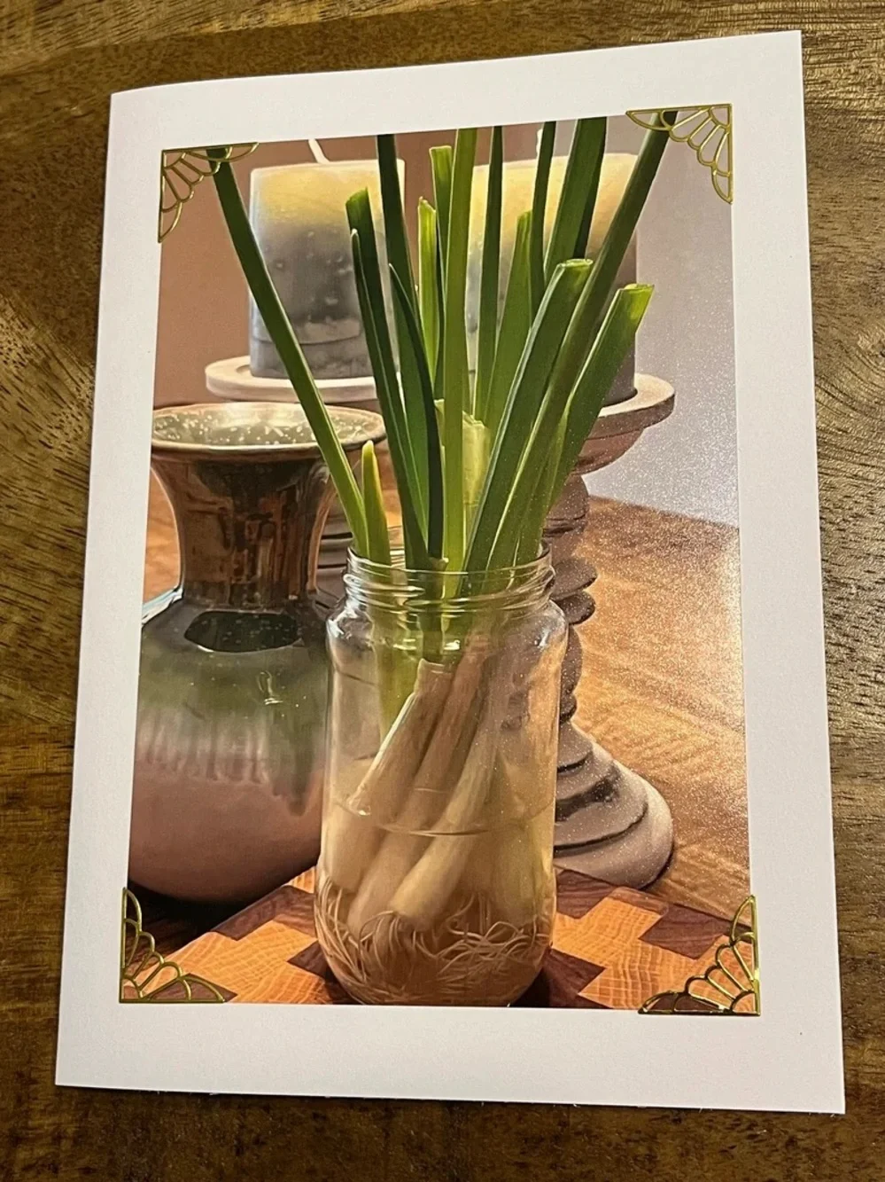 Botanical Photo Greeting Cards - Set of 4
